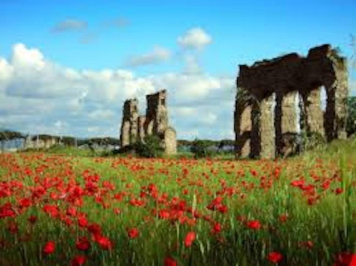 Apartment Amazing Appia Antica - Campidoglio Rome